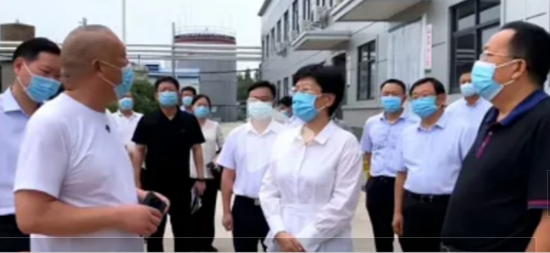 焦作市委書記葛巧紅一行蒞臨旭瑞集團參觀調(diào)研！